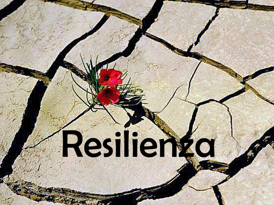 la Resilienza la Resilienza