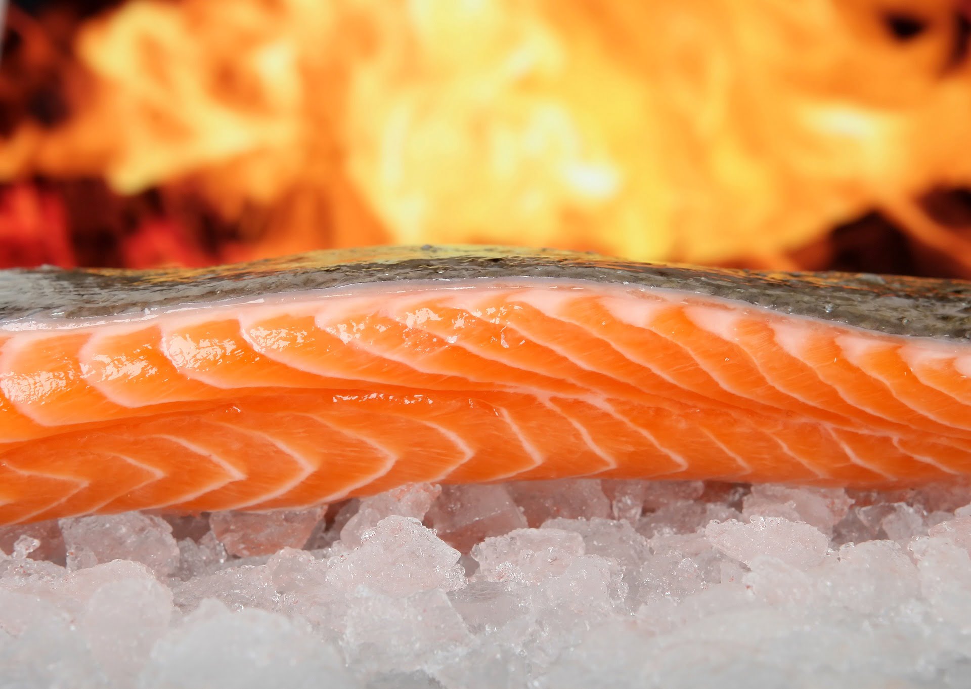 salmon-1238662_1920 omega 3